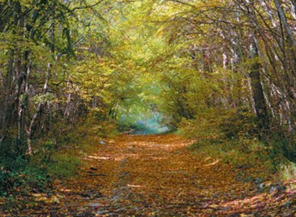 Kaiserwald Pula Luaran gambar